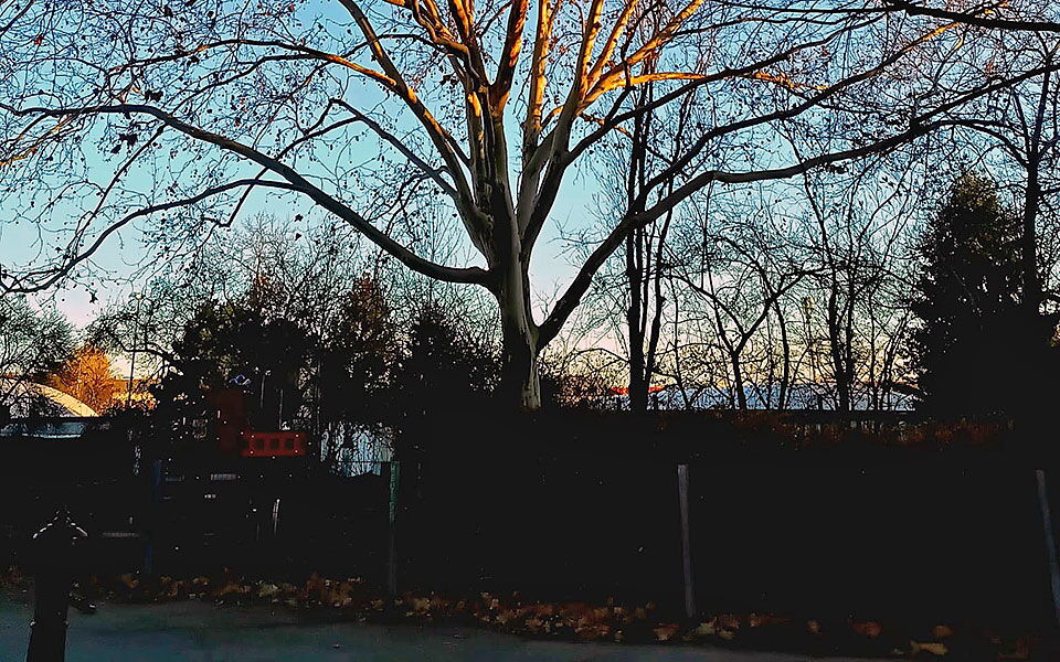 Kältewelle in Hernals: Das FPT17-Team ist trotzdem unterwegs.