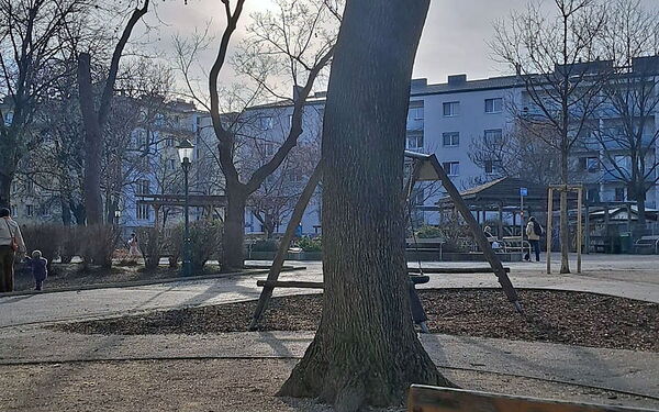 Die Wintermonate gehen zu Ende. Die Sonne kommt heraus.