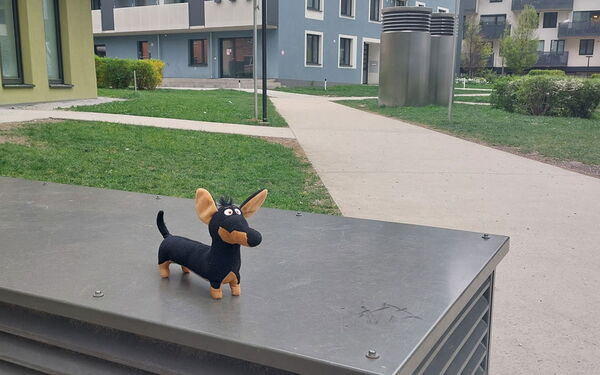 Ein Stoffhund im Park.