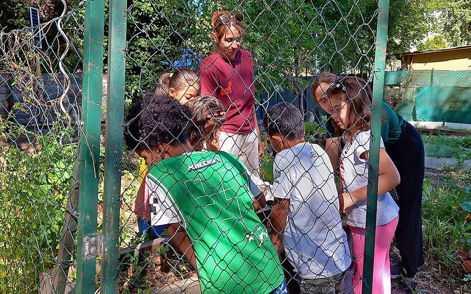 Gartln mit dem mojosa-Team